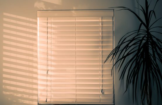 BLINDS