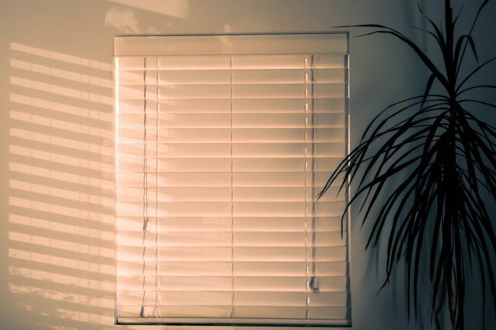 BLINDS